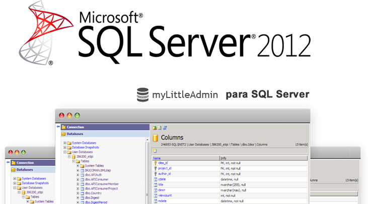 Hosting Windows - Diseño Web Perú